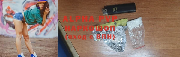 a pvp Бородино